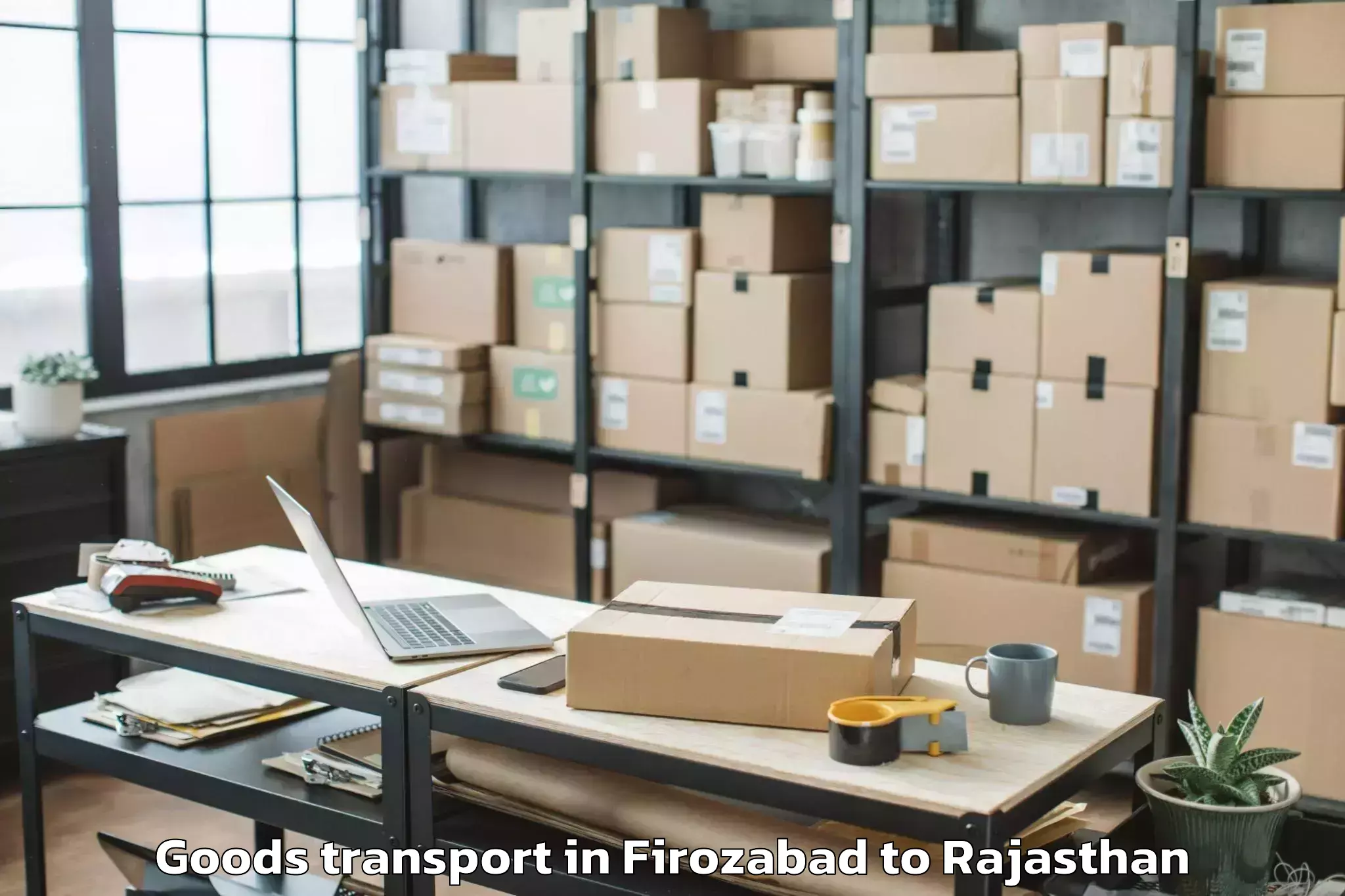 Top Firozabad to Sardar Patel University Of Pol Goods Transport Available